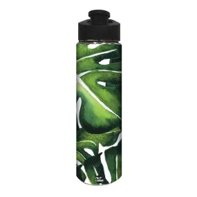 Designer Sipper Running Water Bottles for Kids - Monstera