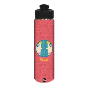 Stainless Steel Water Bottle -  Gemini